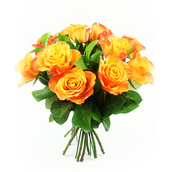A vivid bouquet of approximately twelve bi-colour roses fills the frame, set crisply against a bright white background that lets every nuance of colour and texture stand out, much like a carefully styled display in a Golders Green florist's studio. Each rose is fully open, revealing layered petals that start with a golden, almost lemon-yellow glow at the centre, then flow outward into rich mandarin orange and glowing apricot, with some petals kissed by a hint of reddish orange along the tips. The blooms are cupped closely together in a lush, rounded cluster, creating a sense of fullness and abundance, as though the bouquet has been freshly tied for same-day delivery to a home near Golders Green station or a cosy café along Finchley Road. Dark, polished green leaves weave between the flowers, adding depth and providing a cool, natural foil for the warm, sunset shades of the roses. The stems beneath are straight and robust, aligned in a neat bundle that speaks of careful conditioning and professional preparation. Soft, even lighting glances across the petals, bringing out their gentle sheen and the delicate ruffles at the edges, while the white backdrop removes any distraction, focusing all attention on the roses' natural beauty. The arrangement radiates positivity and encouragement, making it ideal for sending congratulations, a cheerful birthday message, or an uplifting 'thinking of you' surprise to friends or family around Golders Green, Brent Cross, or the leafy streets leading towards Hampstead.