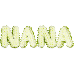A sober yet lovingly made floral tribute spells NANA in bold, three-dimensional letters formed from pristine white button chrysanthemums, each bloom packed closely to create a smooth, textured face of petals. Around each letter, a fresh green border-arranged from glossy foliage and a narrow pleated ribbon-traces the outline, the verdant edge providing a crisp contrast that defines the sculpted characters against the stark white background. The well-balanced lighting in the photograph flatters the arrangement, revealing subtle contours and the careful packing of individual florets while keeping tones soft and respectful. This design has been prepared with the touch of an experienced local florist and is offered by Flowers Golders Green for families seeking a dignified tribute for services in the neighbourhood, perhaps for a chapel on Finchley Road or a ceremony at the nearby crematorium. The white chrysanthemums signal purity and remembrance; the green trim suggests life continuing beyond sorrow. Tactile in appearance and restrained in colour, the tribute reads as intimate rather than ostentatious, suitable for a graveside dedication, visitation, or a memorial display at a community hall. The piece honors the memory of a grandmother, communicating deep affection, steadiness, and a gentle hope for healing-crafted to be carried, placed, and left with dignity by loved ones in Golders Green and surrounding areas.