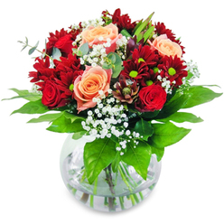 Imagine holding this lush arrangement against the winter light that streams through a Golders Green shop window - velvet red chrysanthemums and classic red roses forming a passionate cradle around apricot and salmon roses, their soft faces catching a sun-kissed glow. Feathery clouds of white gypsophila weave through the bouquet like confetti from a small, secret celebration, adding an airy, whimsical texture that lifts the deeper hues. Lime-tinged foliage circles the base, bright and vivacious, bringing an herbal, green note that complements the gentle sweetness of the roses. Stems visible through a clear, round glass vase speak to freshness and honest composition; water magnifies the sense of life and movement in the arrangement. As an experienced local florist, I picture this bouquet gracing a table at a celebratory supper near Finchley Road or resting on a mantel in a home close to Hoop Lane, offering a quiet, luxurious gesture. Flowers Golders Green prepares pieces like this with an eye for rhythm and proportion - the blossoms spill outward yet draw inward toward a warm centre, suggesting closeness and joy. Ideal for birthdays, intimate celebrations, or brightening a neighbour's day, it carries a subtle perfume of roses and green leaf that feels like a morning stroll through Golders Hill Park, composed to bring comfort, beauty, and the assurance of careful craftsmanship.