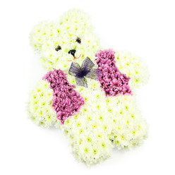 A lovingly designed teddy bear-shaped floral tribute sits centred against a bright white backdrop, its details crisp and easy to distinguish, yet its overall impression wonderfully soft and huggable. The body, head, and rounded limbs are formed from dozens of creamy white chrysanthemums, each flower tightly nestled against the next to create a dense, cushiony surface that mimics the feel of plush fabric. The petals catch the gentle studio light, revealing subtle ivory and pale butter tones rather than a stark, flat white. The bear's face has a calm, friendly personality: two petite dark eyes and a neat black button nose are set symmetrically, and a faint curved line of blush-pink detail underlines a quiet, comforting smile. Across the chest, the florist has shaped a playful waistcoat using rich pink and soft magenta flowers, the colour flowing in two neat panels down the front like a little jacket. At the neckline, a small bow made from sheer purple netting sits lightly on the petals, its gauzy texture providing a delicate contrast to the dense chrysanthemum heads. The composition is clean, with no distractions around the bear, so the eye is drawn entirely to the craftsmanship and expression of the piece. In Golders Green, tributes like this are often chosen for children's memorial services or to send to local chapels and funeral homes as a message of love that feels gentle, innocent, and kind. The arrangement suggests quiet tenderness and protection, like a guardian toy made of flowers, symbolising both cherished memories and a soft, enduring presence.