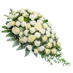 This image shows a refined funeral spray in an elegant teardrop shape, placed on a bright white background so that every flower and leaf stands out in clear detail. The arrangement begins with a mound of blooms at the upper left, then gently narrows as it travels diagonally down to a slender, pointed tip at the lower right. The central flowers are white and cream roses, some tightly closed, others opening into wide cups of layered petals that catch the light and appear soft and velvety. Nestled among them, frilly white carnations introduce a gentle ruffle, creating a soft, comforting texture that contrasts with the smoother rose petals. The flowers are supported by a generous base of greenery: muted, silvery eucalyptus leaves tuck between the blooms, adding cool, grey-green tones, while deeper green foliage gives structure and depth. Long, trailing stems of ruscus or similar slender greenery arc out from the narrower end, enhancing the sense of movement and guiding the eye along the spray's line, much like following the quiet pathways through the residential streets of Golders Green. The colour palette remains strictly white and green, conveying purity, peace, and a respectful stillness that feels fitting for a funeral, memorial, or graveside service. The absence of any decorative props keeps the focus entirely on the craftsmanship of the spray, which appears thoughtfully composed by experienced florists who often prepare such tributes for local services in and around Golders Green, helping families express condolences and honour a life with a calm, graceful display of flowers.