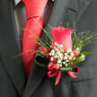 This elegant boutonniere centres on a single pinkish-red rose, its petals lush, velvety, and carefully shaped so that each layer opens like a quiet promise kept. The bloom sits proudly against a dark charcoal lapel, the contrast sharpening its colour until it almost seems to glow, as if catching filtered daylight from a shop window on Golders Green Road. Surrounding the rose, slender sprays of feathery greenery add a sense of movement, like a soft breeze rippling through the gardens near Hampstead Heath. Tiny white gypsophila blossoms-baby's breath-sparkle between the leaves, each star-like flower adding subtle brightness and gentle innocence to the design. At the base of the rose, glossy red berries nestle together, their smooth, waxy skins reflecting little touches of light, suggesting quiet celebration and a hint of festivity suited to weddings, proms, and black-tie dinners. A tidy ribbon encircles the stems, its rich red tone mirroring the perfectly tied scarlet necktie that sits just above, creating a visual line of colour from collar to pocket. The overall mood is refined and confident, a study in modern masculinity softened by natural beauty. You can almost detect a fresh, green scent, mixed with the faint sweetness of the rose, as if the flowers had just been conditioned and arranged that morning by skilled hands at a nearby Golders Green florist. This boutonniere feels like a floral signature for the wearer-a small, expressive detail that quietly tells a story of style, care, and meaningful celebration.