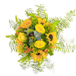 Radiating the warmth of a golden London afternoon, this handcrafted bouquet from a Golders Green florist combines the cheerful splendor of sunflowers with the classic elegance of buttery yellow roses, artfully gathered against a pristine white backdrop. The bouquet's core glows with sunshine, each sunflower's bold face and inky centre beaming alongside tightly curved rosebuds that promise delicate texture and enduring charm. Pops of bright orange-red berries-possibly hypericum-are thoughtfully interspersed, providing playful energy that reflects Golders Green's lively community atmosphere, especially on sunny days near Hoop Lane or Golders Green Station. Wisps of airy Asparagus fern drift outward, giving a sense of movement and framing the blooms in light green lacework, while silvery eucalyptus and a medley of glossy green leaves offer contrast and visual depth. Imagine the subtle fragrance rising-a blend of fresh leaves and sweet petals, grounded by the clean, earthy scent of new-cut stems. This bouquet becomes more than an arrangement: it's a vibrant moment of happiness and optimism, expertly suited for a birthday, anniversary, or as an everyday reminder of nature's light-a true local delight for homes and offices throughout Golders Green and its welcoming neighbourhoods.