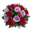 A sumptuous, dome-shaped bouquet seen slightly from above, packed with about a dozen perfectly opened roses in two complementary tones: deep, velvety red and a gentle lavender-mauve. Each rose shows carefully formed spirals of petals, the reds radiating classic romance while the mauves lend a modern, serene refinement. Between the blooms sit glossy, dark green leaves-ruscus-like foliage that creates rich contrast and frames every rose with a natural, structured fullness. Scattered through the arrangement are small, bright orange-red rose hips that catch the eye like cheerful punctuation, adding a woodland, late-summer texture and a touch of warm sparkle against the cool lavenders and rich crimsons. Near the lower centre, discreetly tucked under petals, a small white gift tag peeks out; the word flower is written on it in a playful yet elegant red script, signalling a thoughtful gift. Soft, even lighting highlights the satin sheen of the petals and the gentle shadows between blooms, suggesting a morning or early-afternoon photograph taken in tranquil light. The overall impression is one of refined passion and tender sophistication-an arrangement designed to feel intimate and sustaining. I imagine it arriving at a Georgian flat near Golders Hill Park or set on a dining table after a walk through nearby lanes, its scent a subtle mix of rose sweetness and fresh greenery. This bouquet would suit anniversaries, heartfelt apologies, or quiet celebrations where beauty and authenticity matter, presenting a handcrafted statement of affection with an artful, slightly wild accent.