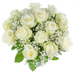 A serene, elegant bouquet of creamy white roses gathered into a classic rounded dome, photographed against a pure white backdrop so every detail reads clearly. Approximately fifteen to twenty roses are included, their petals ranging from tight, hopeful buds to gently opening blooms with a soft, warm ivory centre and the palest green on a few outer guard petals that signals freshness. Interwoven throughout the substantial rose heads are clouds of fine white gypsophila - tiny star-like florets that float like spun snow, lending an ethereal, weightless texture and widening the bouquet's silhouette. Fresh glossy rose foliage peeks between the flowers, the vibrant green leaves giving a crisp contrast that makes the whites appear almost luminous beneath the studio's high-key light. The arrangement smells faintly of classic rose perfume: subtle, powdery and calming, the scent tracing a quiet mood of comfort and hopeful calm. The dome is expertly balanced so the eye travels smoothly around the composition, an ideal shape for a central wedding table, a tasteful sympathy tribute to be placed near the simple dignity of Golders Green Crematorium, or a refined gift for new beginnings. The photographic styling - soft shadows, neutral isolation - emphasises texture and form so that the bouquet reads well both online and in person. This image communicates purity, remembrance, and timeless grace while remaining versatile for celebrations or quiet consolations in the Golders Green neighbourhood, where many residents choose white blooms for moments that call for dignity and gentle reassurance.