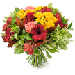 A lush, hand-tied autumn bouquet arranged on a clean white backdrop, rich with warm seasonal tones that feel almost like a small harvest held in the hands. Deep crimson gerbera daisies - their broad, velvety petals radiating from dark centers - and tightly furled burgundy-red roses create a dramatic core, their textured petals catching soft, natural light that makes the reds glow. Bright yellow spray chrysanthemums pepper the composition, their clustered, multi-petaled heads adding a sunny, jubilant counterpoint and a delicate, papery rustle when touched. Gentle coral-pink roses and peach-hued garden roses soften the intensity, their layered forms offering velvet-smooth contrast. Speckled red-and-orange alstroemeria contribute fine, star-like shapes and subtle stripe details that draw the eye between focal blooms. The flowers are densely nestled into a variety of foliage: glossy deep green leaves give weight and sheen, lighter or variegated greens add air and texture, and several large, lobed, reddish-brown autumn leaves-reminiscent of oak or maple-are woven through the bouquet to reinforce the fall theme. The stems are neatly gathered and visible at the base, a tidy bundle of green stalks that signals a classic hand-tied finish. Under soft daylight the petals appear slightly translucent, and the whole piece radiates a comforting warmth suited to Thanksgiving tables, harvest-time gatherings, or a thoughtful seasonal gift. As a local florist might note, this arrangement brings the calming colours and tactile pleasures of autumn indoors - ideal for welcoming guests or marking a quiet, seasonal celebration in the heart of Golders Green.