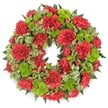 This image shows a lush, circular funeral wreath carefully arranged with red and lime green flowers, presented against a spotless white background that brings every detail into sharp relief. The wreath itself is completely covered in blossoms, giving it a full and generous look, as though each flower were a personal message of love. Deep red carnations form the backbone of the design; their ruffled, layered petals create soft mounds of colour that flow continuously around the ring. Some carnations open wide, showcasing their complex textures, while others remain slightly tighter, lending subtle variation and life to the arrangement. Interspersed among these are bright lime green button chrysanthemums, neat and spherical, their finely packed petals forming tiny cushions of fresh colour that seem almost to glow. The combination of the two hues feels both classic and contemporary, a fitting tribute for services held in Golders Green or nearby Hampstead Garden Suburb. Around the flowers, lush greenery fans outward: dark green fern fronds add a feathery frame, while variegated pittosporum leaves with creamy margins weave in and out, softening the outer edges and adding a gentle, patterned contrast. A slim, striped green ribbon is tucked into the foliage, forming modest loops that follow the curve of the wreath and subtly echo the bright green of the mums. Prepared with the quiet respect that local families expect from Flowers Golders Green, this wreath conveys sympathy, remembrance, and enduring affection, suitable for display in a chapel of rest, at a crematorium, or by a resting place in one of the area's peaceful cemeteries.