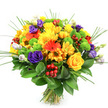A hand-tied bouquet photographed on a crisp white background, the composition deliberately rounded, dense and exuberant so every colour reads clearly. Sunny yellow takes the lead: classic yellow roses with tightly spiralled petals sit beside generous, multi-petalled yellow chrysanthemums and smaller daisy-like yellow blooms, their faces turned outward as if smiling. Tangy orange gerbera daisies punctuate the arrangement with bold, flat petals and darker centres, echoed by smaller orange daisy blooms that add playful rhythm. Deep purple lisianthus-softly ruffled and rose-like-anchor the palette, while a few paler lavender and white lisianthus buds lift the tones and suggest a gentle unfolding. Bright lime-green button chrysanthemums (Santini) create cheerful pom-pom texture, and clusters of glossy ruby-red Hypericum berries offer a festive, waxy contrast against the petals. Linear, spiky blades of ornamental grass fan upward, introducing movement and a hint of wildness, while a rich collar of glossy dark green foliage-likely Ruscus-frames the base and gives the bouquet weight. The stems are neatly tied at the bottom, the cut ends visible and fresh, implying a newly prepared gift. Soft, neutral studio light brings out the petals' velvety and papery textures and suggests the scent of warm roses and crisp green foliage. This arrangement reads as joyful and celebratory-perfect for birthdays, thank-you gestures, or a cheerful dining-table centrepiece-and would sit comfortably on a mantel or sideboard in Golders Green, near the greenery of Golders Hill Park or a sunny kitchen window.