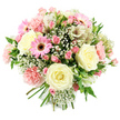 A richly textured hand-tied bouquet is displayed against a pure white background, making its gentle pastel colours and fresh greenery stand out with clarity. Central to the composition are several generous cream roses in full bloom, their soft, velvety petals layered in graceful spirals that give a sense of calm elegance and enduring affection. Around these, clusters of delicate pink spray roses create a halo of smaller blossoms, some still in bud and others half-open, suggesting new beginnings and quiet moments shared in Golders Green cafés and homes. A few bright pink gerbera daisies add lively focal points, their perfectly arranged petals radiating from deep brown centres like cheerful sunbursts. Light pink carnations, densely ruffled and full, weave through the bouquet to create a plush, voluminous texture that softens the entire design. Scattered between the larger blooms are stems of white alstroemeria, their petals gently marked with fine reddish-brown flecks, lending an intricate, almost lace-like detail. Wisps of white gypsophila drift throughout the arrangement, filling spaces with a cloud of tiny blossoms that enhance the bouquet's romantic, airy quality. Fresh green leaves and stems peek between the flowers, offering contrast and the sense of something freshly gathered, as if just prepared in a local Golders Green flower shop near Golders Hill Park. The stems at the base are neatly bundled and tied, ready to slip into a vase on a dining table or office desk. This bouquet radiates tenderness, joy, and understated sophistication, perfect for sending love, congratulations, or sympathy with local delivery across Golders Green and nearby Hampstead Garden Suburb.