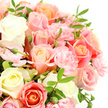Artistic close-up image of a pastel rose and carnation bouquet that fills the frame with soft colour and texture, crafted in the style of an experienced Golders Green florist. The blooms are packed tightly together, forming a rounded, almost cushion-like dome of flowers. At the heart of the arrangement are generous roses in creamy white, pale ivory, blush pink, warm peach, and tender coral, each one opening in perfect, spiralling layers that appear silky and delicate. Between these roses, clusters of light pink carnations add a charming ruffled detail, their many small petals creating gentle shadows and a sense of plush volume, like finely gathered lace. Slim, dark green leaves with pointed tips peek through the blossoms, providing a cool, refreshing contrast that recalls the foliage of nearby Golders Hill Park on a calm morning. A handful of buds, still partially closed, punctuate the design and suggest newly arranged, freshly delivered flowers. The white background acts like a blank canvas, stripping away any distractions so that every nuance of petal, every curve of stem, and every subtle shift from cream to apricot to rose-pink becomes the focus. Soft, even lighting enhances the bouquet's tranquil mood, with no harsh contrasts, only gentle highlights along the petal edges. The overall impression is tender and uplifting, suitable for a new baby gift, a romantic anniversary, or a comforting gesture to someone living near Finchley Road, capturing the quiet beauty and emotional warmth that a thoughtfully made bouquet can bring into everyday life.