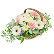 A serene, elongated floral basket arranged with calm precision: several pristine white Gerbera daisies with deep brown-black centres form bright focal points, their broad petals opening like soft suns above a bed of pale pink, ruffled carnations. Interspersed among the larger blooms are clusters of small, daisy-like white and pale yellow spray chrysanthemums that give the composition a lush, plush fullness, while tiny star-shaped violet-blue accent flowers peek through to add discreet cool notes. The bouquet sits in a lightly woven, natural willow basket with a warm, curved wooden handle that frames the display; the foliage is generous and varied - rounded, silvery-green eucalyptus leaves lend a modern, slightly aromatic hush, and glossy dark green ruscus trails gently to the left, creating a soft cascade. Lighting is even and bright, revealing the delicate textures of each petal and the subtle sheen on the leaves; you can almost sense the faint, powdery scent of eucalyptus and fresh-cut flowers. The overall palette of white, soft pinks and fresh greens reads as quietly comforting, appropriate for a memorial tribute or a restful centerpiece. As a local florist would note, this arrangement carries a measured grace suitable for laying by a table at Golders Hill Park gatherings or leaving by a loved one's place at Golders Green Crematorium; it expresses sympathy, gentle celebration, or a thoughtful get-well wish. The craftsmanship is evident in the balanced spill of blooms over the basket edge and the mindful pairing of textures and tones, creating a floral gesture that feels both handcrafted and enduringly calm.