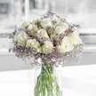 A serene white and lavender bouquet rests in a simple cylindrical glass vase, its beauty unfolding as if in soft Golders Green morning light. At the centre, creamy white roses open in perfect spirals, each petal velvety and gently rounded, catching the light so they appear to glow from within. Their calm, milky tone is unbroken and pure, giving the arrangement an immediate sense of peace, like the quiet you feel walking through nearby Golders Hill Park before the day begins. Around the roses, airy stems of pale lilac limonium - often called sea lavender - weave in and out, forming a delicate, mist-like halo. The tiny clustered blooms add a hazy texture, their muted lavender shade drifting almost to grey at the edges, softening the whole bouquet without overwhelming it. Visible through the clear glass, straight green stems are neatly gathered, submerged in fresh water that reflects a cool, clean shine, grounding the otherwise cloud-like composition. There is no excess foliage to distract the eye, just the disciplined elegance of roses and limonium working together in quiet harmony. The bouquet feels contemporary yet timeless, ideal for a peaceful corner of a modern flat off Finchley Road or as a tender gesture of sympathy delivered to a family home in Golders Green. Imagining the gentle fragrance, you can almost sense a blend of light rose sweetness with a faint herbal clarity from the filler flowers, evoking open windows, crisp linen, and a much-needed breath of calm on a busy North London day.