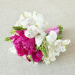 A softly lit bouquet of creamy white alstroemeria and vivid magenta peonies lies against a textured linen backdrop, its colours and textures echoing the relaxed elegance of a quiet Golders Green side street. The alstroemeria form an airy ring around the arrangement, their velvety petals etched with slender burgundy flecks that read almost like handwritten notes of affection. In the centre, full-headed peonies in shades of deep fuchsia spill open in ruffled layers, each bloom lush and confident, radiating joy and gratitude. Nestled around them are firm green buds and slim stems, adding a hint of wildness and reminding you that some of the beauty here is still waiting to unfold, not unlike the changing borders in Golders Hill Park as the seasons move on. The florist has tied the stems neatly with a blush-pink ribbon, its satin surface smooth and cool, wrapping the bouquet like a gentle embrace and suggesting celebration without being showy. Light glances off the petals, creating faint highlights along the bloom edges and casting soft, overlapping shadows onto the fabric below, which gives the arrangement a sense of depth and dimension. You can almost sense a fresh, lightly floral fragrance rising from the posy, reminiscent of a garden after a passing shower. This hand-tied design would be perfectly at home as a bridesmaid bouquet for a small North West London wedding, a thank-you gift for a friend near Hampstead Garden Suburb, or a cheerful birthday surprise delivered locally - a cluster of blooms that speaks wordlessly of kindness, optimism and care.