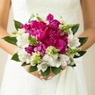 A bride stands in soft, flattering light, cradling a round, luxurious bouquet close to the bodice of her white wedding gown, the lace texture of the fabric forming a gentle backdrop for the vivid colours. At the heart of the design, large fuchsia and magenta peonies are packed tightly together, their many ruffled petals creating a velvety, cloud-like centre that almost seems to spill over her hands. Threaded between these bold blossoms are elegant white alstroemeria, each petal marked with fine maroon speckles and delicate striping that draw the eye inward, adding intricate detail and a sense of movement. Slim, spiky green flower buds, likely Ornithogalum or another textural bloom, push up through the arrangement, giving a fresh, just-picked energy that feels like spring in Golders Green, perhaps reminiscent of a stroll through nearby Golders Hill Park just before the ceremony. Deep green, glossy leaves cradle the blooms and extend slightly beyond the edges, framing the bouquet with a natural border that grounds the vivid peonies and lilies. The bride's fingers, tipped with pale pink polish, curl gently around the stems, suggesting a calm, anticipatory moment before she walks down the aisle. The overall impression is one of joyful romance and polished elegance, the bold pinks, crisp whites, and layered greens capturing the spirit of a modern London wedding while still echoing timeless bridal traditions so often requested by couples planning their celebrations around the tree-lined streets and synagogues of Golders Green.