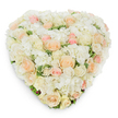 Viewed from a gentle overhead angle, this lush heart-shaped floral tribute reads as a quiet hymn to tenderness. A dense, seamless surface of pristine white and creamy ivory roses forms the core, their petals ranging from tightly furled buds to fully opened cups that catch soft, even light. Interwoven among them are billowing clusters of pure white hydrangea that add a cloud-like softness and generous volume, the tiny florets creating a cushiony texture against the smoother rose petals. Scattered throughout the composition are pale peach and soft blush-pink roses that introduce warm, pastel notes - some roses are deep in bloom, others just beginning to unfurl - producing a subtle gradient from ivory through peach to blush. Deep green, slightly variegated foliage peeks through at the edges and between blooms, giving a restrained, natural contrast and a sense of fresh, living structure. Photographed against a clean white background, the heart casts a modest shadow beneath its edges, revealing the arrangement's three-dimensional build and meticulous handcraft. The overall mood is one of calm dignity and intimate care; you can almost perceive the faint, clean scent of roses tempered by the fresh, leafy green beneath. This design translates equally well as a romantic symbol for weddings or anniversaries and as a serene choice for memorial or sympathy settings, offering consolation with a refined palette. Crafted in the spirit of Golders Green's local floristry traditions, this heart-shaped piece embodies gentle elegance and thoughtful attention, the kind of arrangement a nearby florist might prepare for delivery to a family home, chapel, or quiet service in the borough.