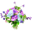 A richly textured bouquet is displayed against a pure white backdrop, showcasing a sophisticated play of blues, purples, pinks, and greens that feels very much at home in the elegant houses of Golders Green. At its core, large, rounded clusters of soft sky-blue hydrangea form a generous, cloud-like cushion of petals, each floret contributing to an overall impression of calm and abundance. Threaded through this pastel base are striking orchids in vivid fuchsia and deep purple, their petals broad, velvety, and intricately speckled or veined, introducing an exotic, almost sculptural quality. From the top and edges of the bouquet, several stems of purple clematis emerge, some standing upright, others trailing gracefully, their star or bell-shaped blooms bringing gentle height and a hint of garden wildness, as if freshly clipped from a pergola in a nearby back garden off Hoop Lane. Interspersed between the larger flowers, miniature roses in shades of blush pink and creamy white tuck themselves in softly, adding romantic touches and the suggestion of a subtle, sweet fragrance. Lush green foliage, including smooth, glossy leaves and more delicate sprigs, fills out the arrangement, intensifying the colours and ensuring the bouquet looks full and balanced from every angle. The stems are carefully aligned and tied at the base, clearly the work of an experienced florist used to crafting special pieces for birthdays, anniversaries, and moments of quiet support across Golders Green and Hampstead Garden Suburb. Overall, the composition radiates refined celebration and gentle warmth, making it a versatile choice for brightening a living room, dressing a dining table, or sending a thoughtful floral gift to someone special.