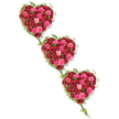 Three interlinked heart-shaped floral tributes, meticulously crafted from roses and ivy, stretch in a diagonal line across a crisp white background, as if gently flowing from memory to memory. The top heart begins the sequence with a rich blend of deep red roses, their velvety petals glowing with tones of crimson and scarlet, while lighter blush and pink roses are tucked between them, adding softness and light. The middle and lower hearts continue this lush colour story, with fuchsia and coral shades mingling among the classic reds, creating a harmonious balance that feels both romantic and reverent. Within each heart, the roses are arranged at different heights and stages of bloom, so the surface appears almost three-dimensional, full of texture and life. Encasing the hearts, glossy green ivy forms a living frame, the leaves following every curve before sending out slender runners that link one heart to the next, symbolising a continuous bond of love. There is no distraction from stands or ribbons; the design is focused purely on the sculpted floral shapes and their emotional impact. The white background, softly lit, enhances every nuance of colour and shadow, making the arrangement easy to imagine placed against a chapel wall, near the lectern at Golders Green Crematorium, or beside a memory table during a wake. Created with the care and understanding of a local funeral florist, this triple-heart tribute offers a graceful way to convey sympathy, remembrance, and heartfelt thanks for a life shared, especially when words alone are not enough.