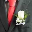 A close-up photograph focuses on the left lapel of a sharply tailored charcoal grey suit, showing a groom's boutonniere in exquisite detail as if ready for a wedding at a Golders Green synagogue or a ceremony near Hampstead Heath. The fine wool fabric of the jacket has a smooth, almost matte texture, with clean, precise stitching tracing the lapel's edge and the flap of the welt pocket beneath. Beneath the jacket, a pale dress shirt with a subtle grid or check pattern lends a gentle, modern texture, while a vivid scarlet-red tie, with a soft satin sheen, cuts a bold line through the centre of the frame. Pinned neatly to the lapel is a single, creamy white rosebud, petals tightly wrapped yet full, suggesting freshness and quiet anticipation. The rose is encircled by a delicate halo of white baby's breath, each tiny blossom like a dot of soft light, and fine, feathery green foliage that fans out gracefully, bringing a touch of garden softness to the tailored look. Slightly broader, deeper green leaves curve protectively around the flowers, giving structure and depth. At the base, the stems are bound with a narrow white satin ribbon, tied into a small, precise bow that catches the light in a gentle shimmer. The overall mood is one of calm confidence and understated romance, capturing the feeling of a groom or honoured guest standing just outside a venue on Finchley Road, heart steady but hopeful, every detail from the polished suit to the handcrafted boutonniere reflecting the care invested in the day. The floral design feels intimate and timeless, a small but meaningful promise pinned close to the heart.