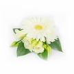 This compact, elegant corsage is photographed against a pristine white backdrop, every detail rendered with quiet clarity. At the heart sits a large, fully open white Gerbera daisy whose smooth, featherlike petals radiate outward into a gentle halo; its textured yellow-green centre reads bright and lively against the pale blooms. Nestled around and beneath the Gerbera are several Eustoma (Lisianthus) blooms and buds - two blooms partially unfurled to reveal their soft, ruffled petals in a creamy white to pale buttered-yellow wash, while slimmer, light green buds sit ready to unfurl, suggesting growth and promise. A smaller layered white daisy or chrysanthemum peeks from the upper right, adding layered fullness and a delicate punctuation to the composition. Broad, deep emerald leaves frame and support the cluster, their glossy surfaces giving depth and a restful contrast to the ethereal whites. Along the right edge, a few tiny white pearl beads are subtly woven into the foliage, catching the light with a discreet shimmer and lending a refined, formal accent suitable for weddings or celebrations. The lighting is soft and diffuse, emphasizing velvety textures and the cool, clean freshness of the palette - whites, creams and green - while the minimal background keeps attention on craftsmanship and detail. As a florist describing this piece, I imagine it pinned to a lapel or worn at a spring ceremony, radiating calm, understated elegance; its scent would be faint and green, like a dew-kissed morning. Locally, this is the kind of boutonnière brides and parents request for intimate ceremonies near Golders Hill Park and quiet halls around Golders Green station, a small wearable bouquet that honours a solemn, joyful moment.