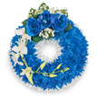 A formal circular funeral wreath in vivid blue and white, photographed against a clean white backdrop to show every textural detail. The wreath's main body is a dense, unbroken ring of small petaled electric-blue chrysanthemums - their tightly clustered blooms creating a plush, velvet-like surface that catches soft studio light and feels almost tactile. Framing the circle at the very top are three full, royal-blue roses, their velvety petals unfurling outward and nestled into tiny clouds of pure white gypsophila and a few deep green leaves, forming a quiet focal point that reads as both dignified and tender. From the left-hand arc, two slender sprays of white orchids - likely Phalaenopsis - spill down in a graceful cascade, their broad, open petals and pale, yellow-green unopened buds lending a sense of fragile elegance and gentle movement. The inner edge of the wreath is finished with a crisp, ruffled white satin ribbon that creates a neat, formal border around the central aperture, reinforcing the composition's solemn purpose. The palette is deliberately restrained: intense blues for serenity and fidelity contrasted with pristine whites for purity and remembrance. A faint, clean floral scent is implied - the cool sweetness of chrysanthemum and orchid - while the craftsmanship speaks of careful hand-placing and balance. As a sympathy tribute, this wreath is composed to convey respect, calm, and consolation for families arranging services in Golders Green, suitable for committal or memorial settings and mindful of local traditions and the quiet dignity often sought at farewell ceremonies.