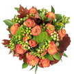 Seen from directly above against a crisp white background, this autumnal bouquet reads like a small, sun-warmed harvest laid out on a table in Golders Hill Park. At its heart are dozens of fully opened roses in soft peach through warm coral and deep orange, their petals graduating to a rusty, cinnabar edge that catches the light like late-afternoon leaves. Punctuating the roses are tight clusters of round Hypericum berries-some a vivid lime-green, others a pale, creamy yellow-each orb adding a playful, tactile note among the petals. Nestled between the larger blooms are dense, velvety mounds of green Trick dianthus that resemble soft moss or miniature green brains; their texture is almost touchable, a bright, almost electric green counterpoint to the warmer tones. Dark, lobed leaves in rich burgundy and burnt umber are set throughout the design like fallen autumn leaves, providing depth and a grounded, rustic contrast to the florals. Glossy green foliage-broad, satiny leaves and smaller serrated sprigs-fills and frames the composition, creating a lush backdrop and a sense of abundance. The bouquet smells faintly of rose and damp earth, a gentle, comforting fragrance that evokes a stroll through late-September streets near Golders Green Road. Light is soft and diffuse, casting mild shadows that emphasize petal edges and berry sheen. Carefully arranged and densely packed, this centerpiece feels both opulent and homey, ideal for a Thanksgiving table, a cosy mantlepiece, or a thoughtful autumn gift delivered locally around Golders Green and nearby Finchley Road to warm any room.