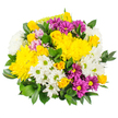 The photograph captures a lively mixed bouquet composed of sunny yellow, crisp white, and jewel-toned purple blooms, arranged densely so the flowers form a rounded, abundant dome against a pure white backdrop. At the core of the composition are large yellow chrysanthemums, their many-petalled heads looking almost fluffy to the eye, radiating a warm glow that suggests optimism and cheerful energy. Threaded through these are small clusters of yellow spray roses, some still in tight, green-tipped buds and others partially opened, giving subtle hints of layered petals and adding a romantic softness to the arrangement. White daisy-style chrysanthemums with bright green centres are scattered generously throughout, their clear, simple forms introducing a sense of freshness and light, reminiscent of the clean morning air over Golders Green's leafy residential streets. Deep magenta and purple chrysanthemum daisies with sunny yellow centres are strategically placed among the paler blooms, bringing depth, contrast, and a slightly playful edge to the colour palette. Here and there, delicate touches of pastel pink or lavender flowers bridge the gap between the strong yellows and purples, smoothing the transitions and giving the bouquet a carefully considered, professional finish. Surrounding all this colour is an abundance of dark, glossy green foliage, likely Ruscus or Salal, which cups and supports the blooms, making the arrangement appear generous yet balanced. The lighting is softly diffused, so the colours remain vivid but natural, as if the bouquet were resting on a florist's bench in a Golders Green workshop, ready to be delivered as an uplifting, budget-friendly gift for a birthday, housewarming, or simple just because moment.