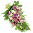 An elegant sympathy spray is photographed against a crisp white background, its long, diagonal form reminiscent of a gentle stream of flowers laid along a chapel aisle in Golders Green. From the tightly bound stems at the top left, the arrangement widens and then tapers down to the lower right, creating a graceful teardrop that feels both tender and composed. At the centre, large Oriental Stargazer lilies open in rich shades of fuchsia-pink, edged in clean white and sprinkled with dark burgundy spots; some are in full bloom, others remain in plump green buds tinged with pink, suggesting life continuing quietly. Around these star-shaped blooms, velvety magenta gerbera daisies add depth and warmth, their dark centres anchoring the composition, while creamy white roses and softly ruffled white carnations offer a soothing, respectful contrast. Tiny white daisy-like filler flowers appear here and there, softening the spaces between the larger blooms and lending a gentle, cloud-like texture. The entire spray is cradled by lush greenery: broad, deep green leaves give structure and a sense of stability, delicate fern fronds introduce airy movement, and long, slender blades of foliage sweep outward and downward, emphasising the cascading line. The lighting is balanced and soft, bringing out the vibrancy of the pinks and the serenity of the whites without glare. This carefully arranged funeral tribute, typical of the refined sympathy flowers chosen around Golders Green, Brent Cross, and Childs Hill, offers a heartfelt way to honour a loved one and convey condolences when attending a service or sending a thoughtful delivery locally.