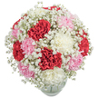 A harmonious arrangement of velvety carnations in passionate red, soft pink, and pure white forms the heart of this lush bouquet-a signature composition reminiscent of joyful gatherings in Golders Green's close-knit neighbourhoods. Encircling the core, a cloud of diminutive Baby's Breath blooms creates an ethereal halo that diffuses light, imparting a gentle glow to the entire display. The glass vase below, with only its rounded base shining through, hints at the freshness and clarity within, grounding the bouquet's abundant fullness. Ruffled petals and intricate textures invite closer inspection, suggesting the skilled hands of florists who know the tastes of the Golders Green community well. The palette embraces romance, gratitude, and celebration-perfect for marking birthdays, anniversaries, or to send a touch of comfort to a home on Hoop Lane or Child's Hill. The visual richness is complemented by the subtle, sweet-spicy aroma unique to fresh carnations mingled with light gypsophila, filling the room with optimistic energy. This arrangement not only honours the artistry of floral design but brings a warm, local spirit to any occasion across Golders Green and its vibrant streets.