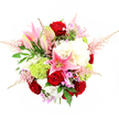 The photograph presents a rich, hand-tied bouquet from a bird's-eye angle, arranged on a pristine white background that heightens the vibrancy of every flower. Several deep red roses form the emotional core of the composition, their velvety petals folding in tight spirals that gradually loosen towards the outer edges, creating a feeling of warmth and devotion. Interspersed among them are large pink stargazer lilies, some dramatically open with star-shaped petals and freckled centres, others still closed in slender buds, adding both structure and a sense of unfolding moments. Encircling these focal blooms are generous lacy clusters of creamy white hydrangeas, forming a plush, cloud-like base that adds fullness and softness, like a bed of petals supporting the more sculptural flowers above. Bright lime-green pom-pom blooms-resembling Green Trick dianthus or small chrysanthemums-are tucked into the design, their intricate, mossy texture introducing a modern, playful contrast that energises the palette. Feather-light plumes of pale pink astilbe stretch outward, giving the bouquet a gentle, airy halo, while tiny hints of lavender and fuchsia filler blossoms nestle between larger stems, adding extra depth and colour nuance. Glossy dark green leaves and fine ferny foliage weave throughout, framing the design with a lush, garden-fresh feel that calls to mind the greenery around Golders Hill Park and the residential streets of Golders Green. The overall mood is celebratory yet refined, making this arrangement perfect for romantic gestures, elegant congratulations, or simply brightening a home near the Northern line with a burst of fresh, fragrant colour.