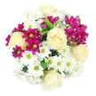 Captured in a clean, overhead shot, this mixed bouquet appears as a perfect circle of colour and texture set against a pure white background, allowing every flower to read clearly. Creamy white roses anchor the composition, their classic spiral of petals unfolding in smooth, velvety layers that invite the mind to imagine their subtle fragrance. Around and between these roses, compact white chrysanthemums form a soft cushion, their crisp petals radiating outward from bright yellow-green centres that add a hint of springlike freshness. Punctuating this gentle palette, clusters of fuchsia and magenta spray chrysanthemums spark vivid notes of colour, some blossoms fully expanded with multiple daisy-like heads, others still in bud, suggesting the ongoing life and movement within the bouquet. Here and there, small flashes of deep green foliage peek from beneath the dense blooms, introducing natural contrast and hinting at the carefully bound stems below. The bouquet feels thoughtfully balanced-neither too formal nor too casual-like something arranged in a Golders Green florist's studio not far from the station, ready to be carried down nearby streets or delivered to homes around Golders Hill Park. Its mood is uplifting yet soothing, suitable for a cheerful birthday, a warm thank-you to a neighbour, or a simple gesture to brighten a quiet living room. The interplay of ivory, white, and magenta creates a sense of harmony and gentle celebration, making this arrangement a versatile choice whenever there is a wish to bring light, colour, and a touch of grace into someone's day.
