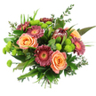 A vibrant hand-tied bouquet is captured against a pure white background, its colours and textures standing out as though freshly arranged on a Golders Green florist's bench. At its heart, generous roses in gentle peach and warm apricot tones open into layered, spiral blooms, giving the arrangement a soft, romantic focus. Around them, Gerbera daisies in deep magenta, burgundy, and dusty rose fan out in a loose ring, each flower centred with a bright golden or orange disc that brings a cheerful, sunlit quality. Near the upper centre, an impressive protea forms an arresting focal point, its elongated, cone-like head and layered maroon and reddish-brown bracts tipped with pale edges adding both height and striking texture. Interwoven throughout are bright lime-green button chrysanthemums, the small, rounded pompon blooms scattered like lively beads of colour, adding a playful contrast reminiscent of fresh spring foliage seen along nearby Hampstead Garden Suburb. The bouquet is completed with an abundance of greenery: smooth, glossy leaves that create a deep green backdrop, slender grass-like stems lending movement, and fine eucalyptus sprigs offering a soft, silvery touch that suggests a cool, refreshing scent. All the stems are gathered neatly and firmly at the base, clearly showing the hand-tied craftsmanship and making the bouquet easy to drop into a clear glass vase in any Golders Green home or office. The overall impression is one of joyous sophistication and natural beauty, perfectly suited to celebrating a special birthday, a meaningful anniversary, or simply bringing warmth and colour to an ordinary day.