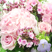 This photograph offers an intimate view of a pink and lavender bouquet that feels both luxurious and soothing, as if arranged for a peaceful afternoon gathering in a Golders Green home. At the center and slightly to the upper left, a full head of light pink hydrangea creates a soft, voluminous anchor, its many tiny petals tightly packed yet delicately frilled, forming a cushion of colour. Cradling it are classic roses in deeper blush tones: one on the lower left, whose spiraled petals open in perfect symmetry, and another on the mid-right, equally velvety and refined. Scattered among these larger blooms are petite fuchsia and magenta accents, probably waxflower or phlox, their small, star-like or five-petaled blossoms providing a lively sprinkle of richer colour that keeps the arrangement from feeling too shy. On the lower right edge, a graceful bell-shaped campanula in light lavender-blue adds a cool, airy note, subtly shifting the palette toward lilac while still harmonizing with the dominant pinks. Dark green leaves and slender stems thread through the composition, grounding the pastel tones and lending the bouquet a freshly picked, garden-inspired feel, as if it had been gathered near the green spaces around North End Road. The lighting is gentle and natural, highlighting the petal textures without harsh shadows, so the bouquet appears soft, romantic, and inviting. This is the kind of design that would suit birthdays, quiet celebrations, or a heartfelt apology delivered across NW11, reflecting the thoughtful craftsmanship and local sensitivity you'd expect from an experienced Golders Green florist.