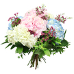 A pastel hydrangea bouquet is displayed against a clean white backdrop, its rounded, hand-tied form showcasing the considered artistry typical of florists working around Golders Green. At its core, large mophead hydrangeas create soft domes of colour: blush-pink blooms blend seamlessly into cool sky-blue heads, while pristine white hydrangeas add a fresh, luminous contrast. Each flower head is made up of many small, overlapping petals, which together create a plush, almost billowy texture, like clouds gathering over the leafy streets near Golders Hill Park. Threaded between these generous blooms are slender sprays of tiny, deep magenta flowers, likely waxflower, whose miniature, starry blossoms bring splashes of brighter colour and a delicate, almost airy feel. Surrounding the hydrangeas is an abundance of foliage-broad, dark green leaves provide a bold, glossy frame, while smaller, softer leaves introduce gentle movement and a natural, garden-picked character. The stems are carefully aligned and secured at the base in classic hand-tied fashion, ready to be slipped into a vase on a sideboard in NW11 or carried along Finchley Road as a thoughtful gift. The lighting in the image is bright and even, emphasising the varied textures, gentle colour transitions, and crisp edges of each petal and leaf without distraction. The bouquet radiates a mood of quiet celebration and tender warmth, making it well suited to birthdays, get-well wishes, thank-you gifts, or simply sending a serene, elegant message of care to someone in the Golders Green community.