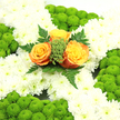 A cross-shaped floral tribute fills the frame, designed with the quiet grace and precision you might expect from an experienced local florist preparing a memorial piece for a service near Golders Green Crematorium. The entire shape of the cross is padded with snowy white chrysanthemums, each bloom fully open, their many petals overlapping to form a cushiony, cloudlike background. Around this sea of white runs a distinctive edging of bright lime-green button chrysanthemums, neatly clustered into rounded mounds at the ends of the cross and along its outer lines. These small, spherical flowers create a fresh, mossy border that brings the green of the Irish flag gently to mind. At the meeting point of the cross's arms, a small cluster of three roses is tucked carefully into the chrysanthemums. Their colours range from deep orange through apricot to golden yellow, giving the impression of soft, glowing embers at the centre of the design. Sprigs of green filler and tiny buds, possibly hypericum or similar berries, gather around their bases, while longer, fern-like leaves arc gracefully from behind, introducing texture and depth above the otherwise level surface. The arrangement is photographed in clear, even light, which accentuates the interplay between soft white, fresh green, and warm orange-gold tones. The overall feel is both peaceful and symbolic, perfectly suited to a funeral, memorial, or Irish remembrance gathering in Golders Green, where families seek a floral expression of love, heritage, and hope.