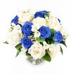 A softly rounded bouquet of blue and white flowers stands in a clear glass vase, photographed as if resting on a bright, white tabletop in a peaceful Golders Green home. The image is taken from a slightly elevated angle, allowing a full view of the domed arrangement where every flower appears carefully placed to express calm sympathy and thoughtful care. Rich royal blue roses are scattered generously throughout, their velvety petals layered into full, open blooms that bring a cool depth to the design, recalling clear evening skies or the quiet hush of dusk over Golders Hill Park. Intertwined among them, creamy white and ivory roses open in wide, gentle spirals, their smooth petals curling softly outward to suggest tenderness and solace. Slender stems of white freesia weave between the larger roses, carrying clusters of small, trumpet-shaped flowers and pointed buds that introduce a delicate texture and the imagined scent of fresh, lightly sweet perfume. Fine, cloud-like sprays of white gypsophila, or baby's breath, fill the spaces between blooms, giving the arrangement a light, airy halo that makes it feel both abundant and serene. Dark green leaves gather mostly around the base and lower edges, framing the pale flowers and adding natural depth, much like the leafy avenues branching off Golders Green Road. The clear cylindrical vase reveals the straight, trimmed stems standing in clear water, with a subtly ribbed base that catches glints of light. Altogether, the bouquet conveys tranquility, remembrance, and unspoken support-a comforting floral gesture suitable for funerals, memorials, or condolence deliveries across Golders Green and the nearby NW11 neighbourhoods.