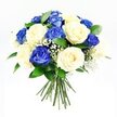 A serene hand-tied bouquet of roses in cool sapphire blue and gentle cream is shown against a plain white background, the colours and textures coming into crisp focus as if in the soft indoor light of a Golders Green florist studio. The arrangement is rounded and compact, with blue and cream roses evenly interlaced so that each hue enhances the other rather than competing. The blue roses are a striking, jewel-like shade, their petals plush and velvety, while the cream roses appear almost luminous, with smooth, layered petals that curl back softly at the edges. Delicate sprays of white baby's breath weave through the bouquet, their countless tiny flowers creating a misty, cloud-like layer that adds both texture and tenderness. Dark, glossy green foliage forms a subtle collar around the blooms, with individual leaves flickering between the roses, giving the impression of a bouquet freshly gathered from a well-kept garden rather than a formal display. Below, the stems are aligned and tied securely, neat and natural, ready to be placed in a vase on a quiet mantel or taken to a service in Golders Green, Hendon, or nearby Cricklewood. The overall lighting is bright yet soft, enhancing the calming blues and creamy whites without glare, and casting gentle shadows that give the bouquet a sense of volume. This floral design feels especially suited to sympathy and remembrance, offering a composed, dignified way to express condolences and to share a moment of peace when words alone might not be enough.