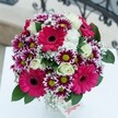 A vision of sophisticated joy, this bouquet from Golders Green dazzles with its dynamic fusion of vivid hot pink Gerbera daisies and contrasting magenta-and-white chrysanthemums. Each Gerbera radiates intensity from its velvety petals, drawing the gaze inward, while clusters of star-shaped chrysanthemums add a playful, almost festive spark with their bold lime-green centers and crisp bicolour edges. Creamy white roses bring a buttery smoothness, their spirals unfolding amidst the brighter blooms and invoking a quiet romance. Wisps of baby's breath float through the design like delicate lace, introducing a gentle airiness that balances the rich pinks and purples. Deep green leaves at the base ground the palette, enhancing both texture and freshness. The bouquet is photographed resting on a spotless white surface, with the suggestion of refined Golders Green ironwork and garden greenery in the softly blurred background. Ideal for a birthday, anniversary, or spontaneous gesture, this artful arrangement shines with the promise of springtime and the uplifting spirit Golders Green is known for, making any delivery a radiant highlight across the local community.